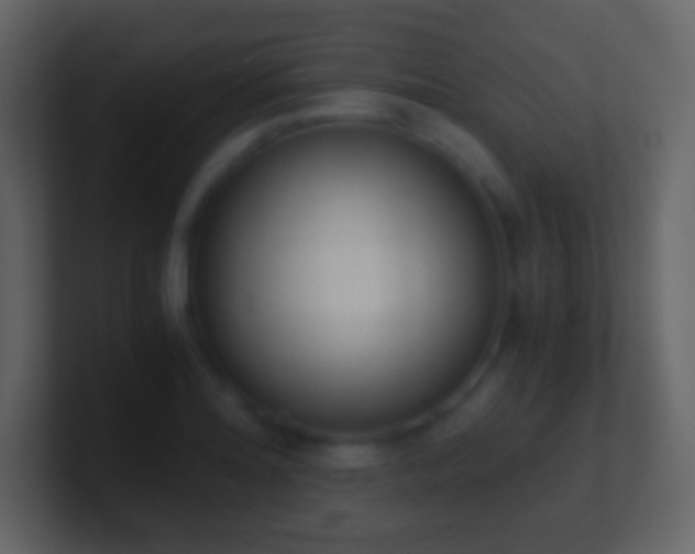 X0000101391180200807071151