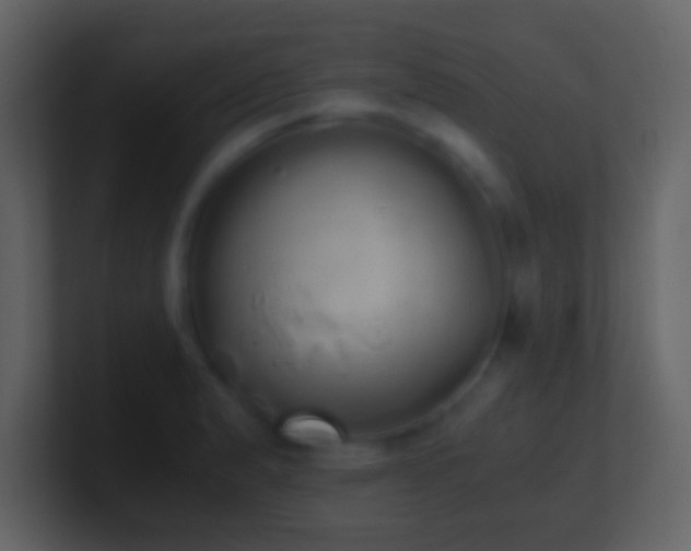 X0000101391183200807071151