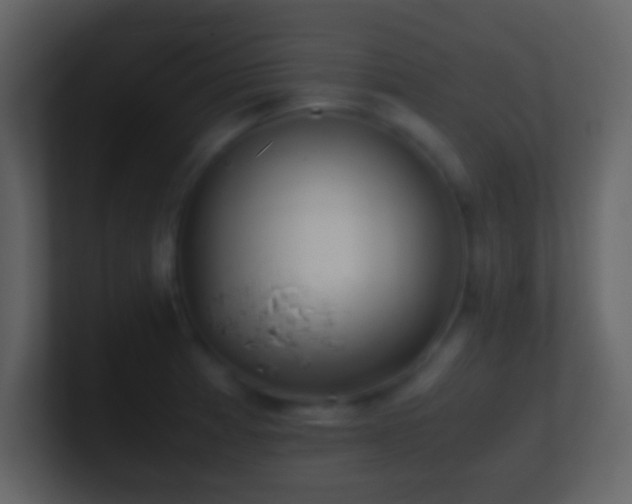 X0000101391185200807071151