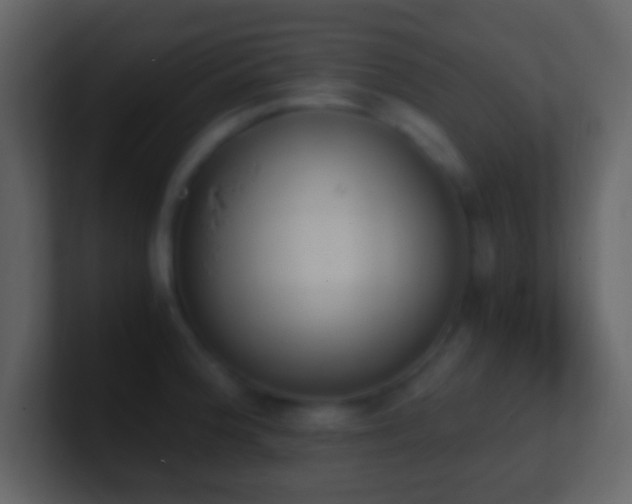 X0000101391188200807071151
