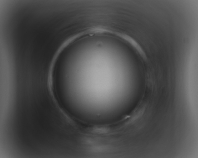 X0000101391191200807071151