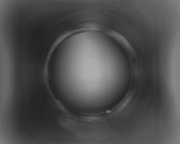 X0000101391192200807071151