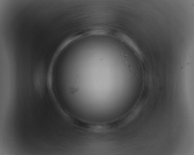 X0000101391195200807071151