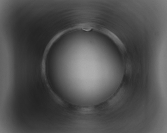 X0000101391196200807071151