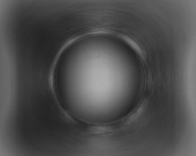 X0000101391197200807071151