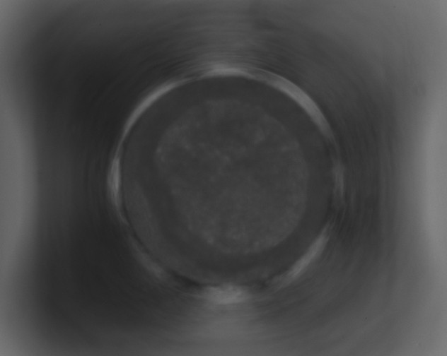 X0000101391198200807071151