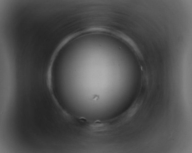 X0000101391199200807071151