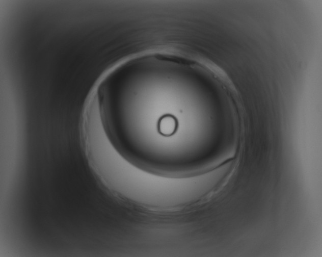 X0000101391200200807071151
