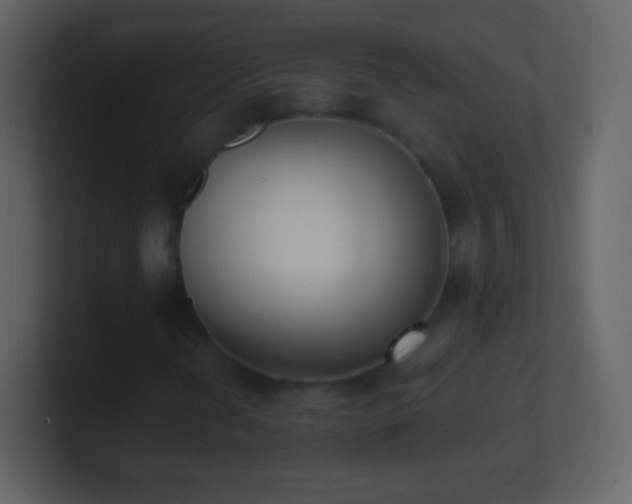 X0000101391202200807071150
