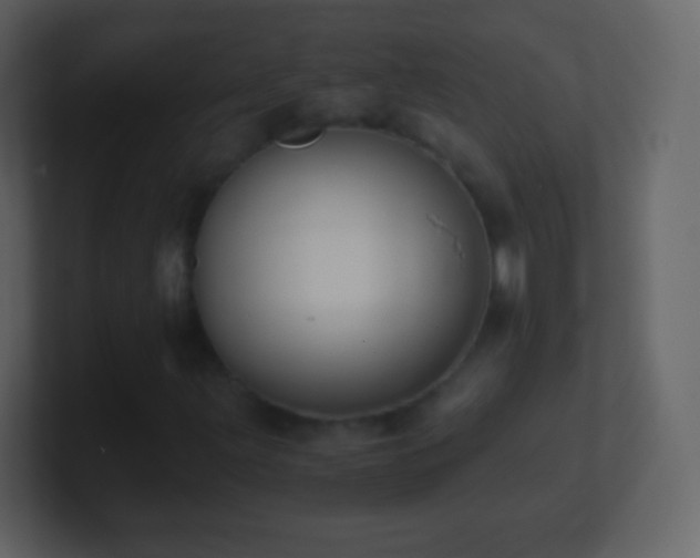 X0000101391203200807071150