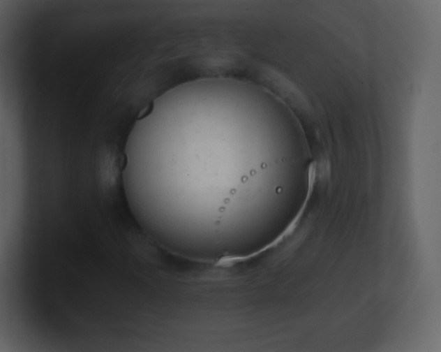 X0000101391204200807071150