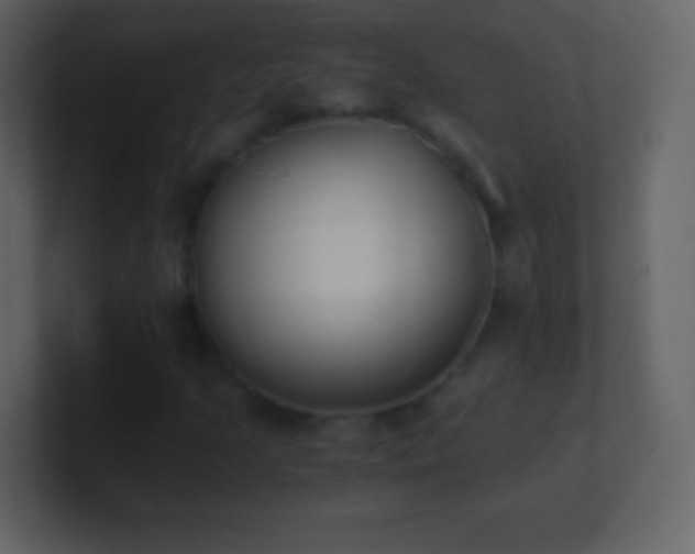 X0000101391205200807071150
