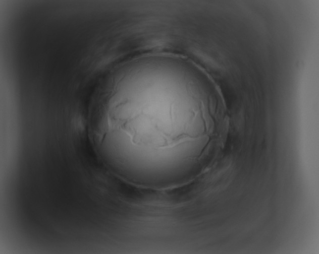 X0000101391206200807071150