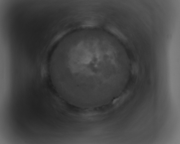 X0000101391208200807071150