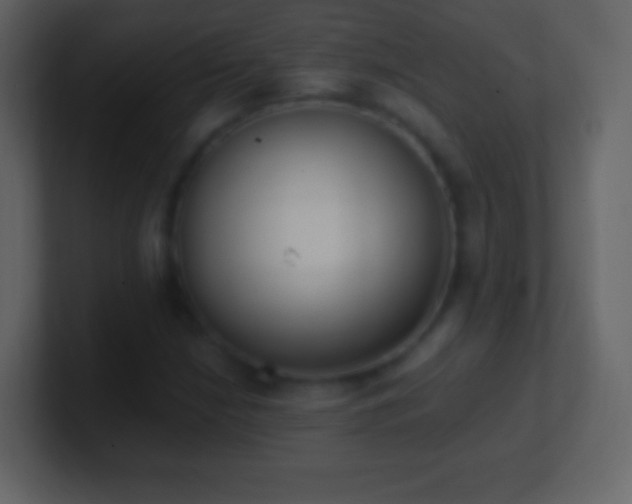 X0000101391210200807071150