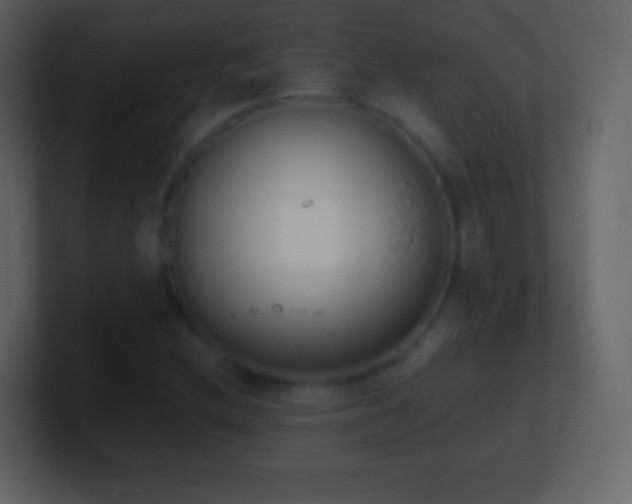 X0000101391212200807071150