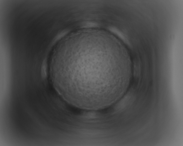 X0000101391213200807071150