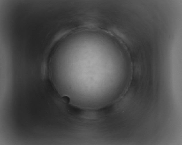 X0000101391215200807071150