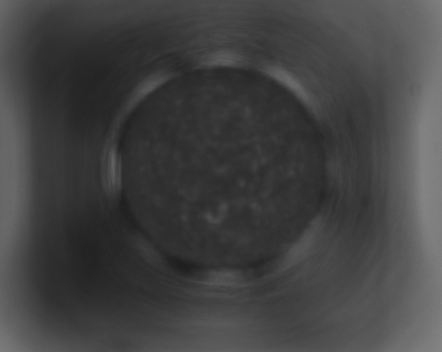 X0000101391219200807071150