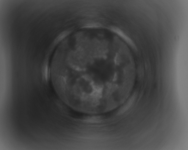 X0000101391221200807071150