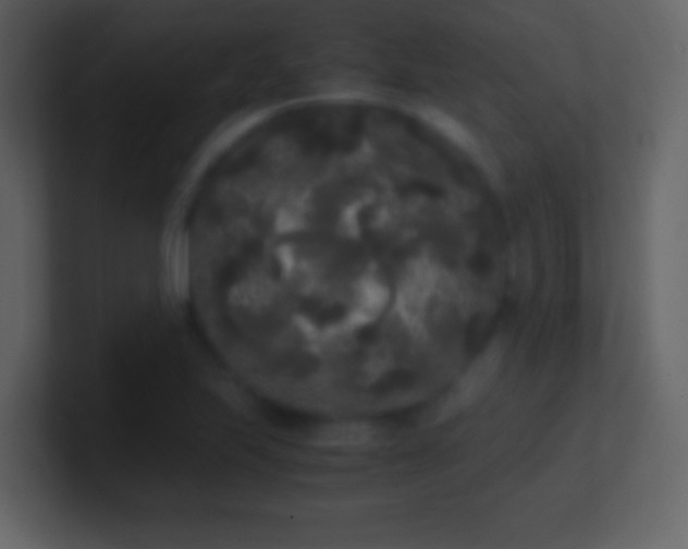 X0000101391223200807071150
