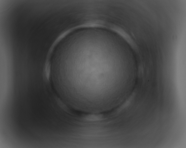 X0000101391224200807071150