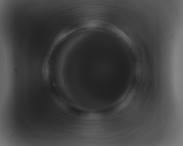 X0000101391226200807071150
