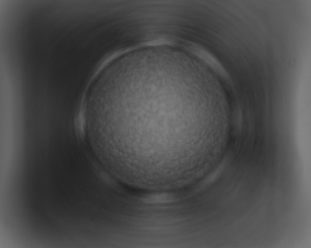 X0000101391228200807071150