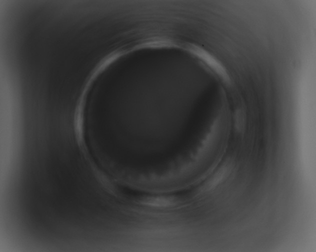 X0000101391229200807071150