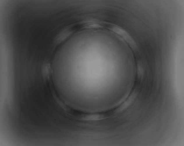 X0000101391233200807071150