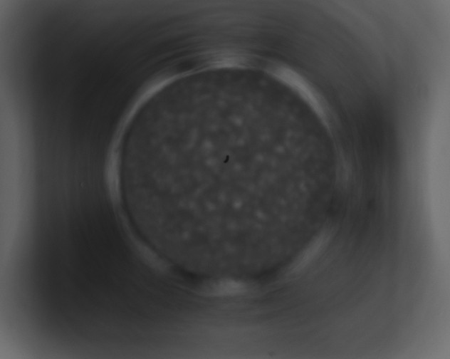 X0000101391235200807071150