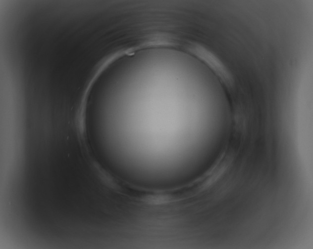 X0000101391236200807071150