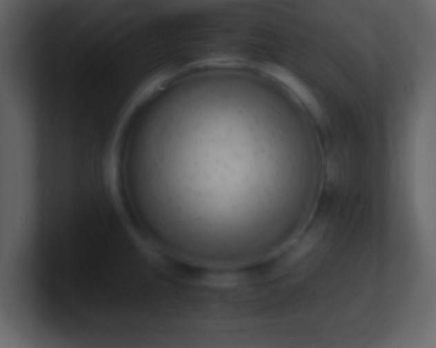 X0000101391237200807071150