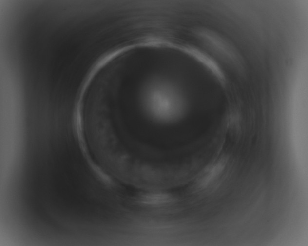X0000101391239200807071150