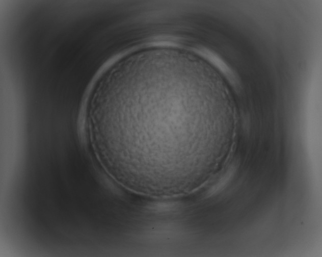 X0000101391240200807071150