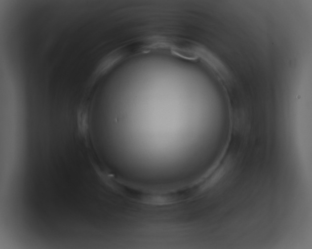 X0000101391241200807071150