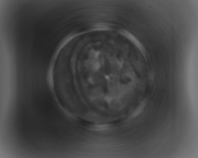 X0000101391243200807071150