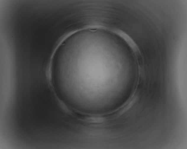 X0000101391244200807071150