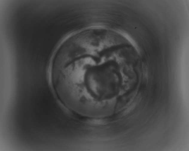 X0000101391245200807071150