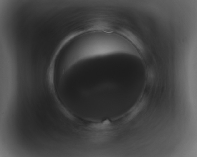 X0000101391246200807071150