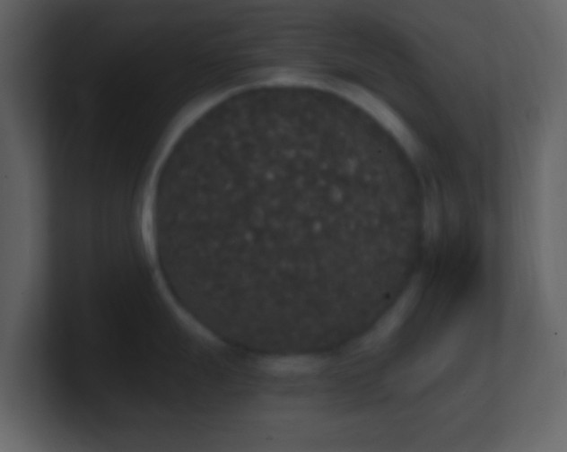X0000101391247200807071151