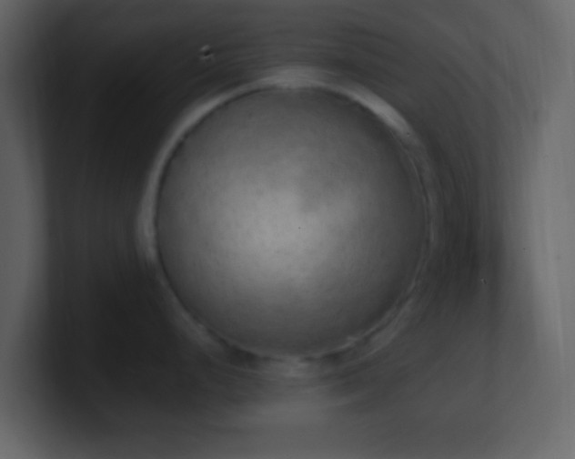 X0000101391248200807071151