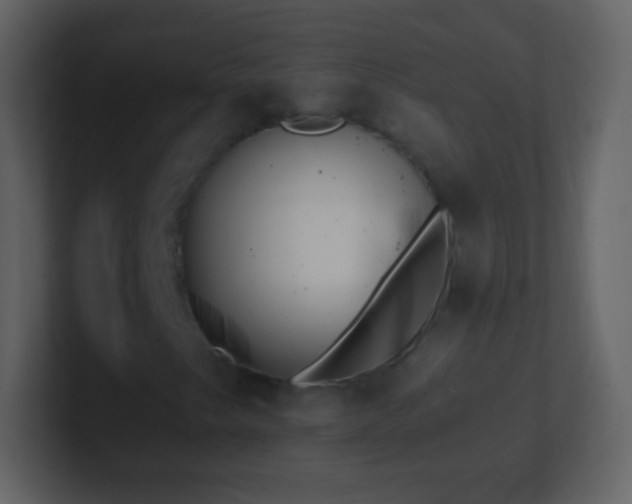 X0000101391249200807071150