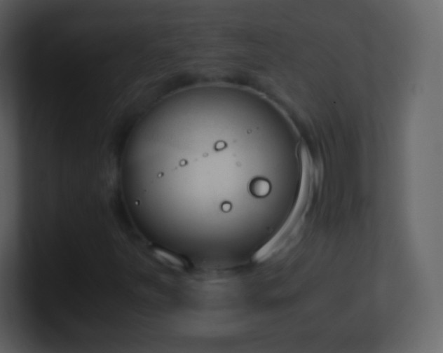 X0000101391251200807071150