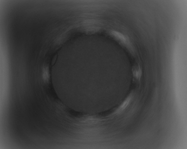 X0000101391252200807071150