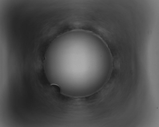 X0000101391253200807071150