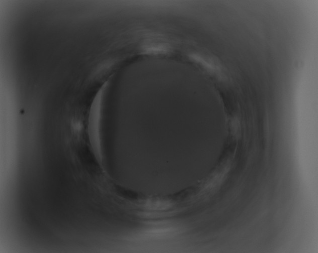 X0000101391254200807071150