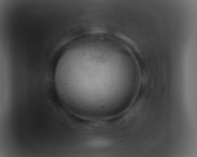 X0000101391255200807071150