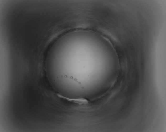 X0000101391256200807071150