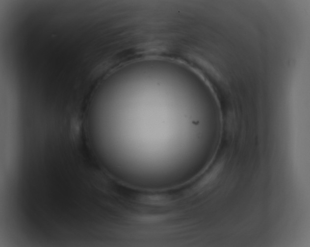 X0000101391257200807071150